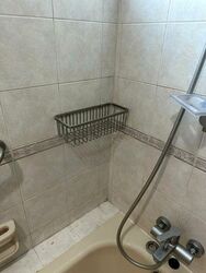 Parc Oasis (D22), Condominium #633399651